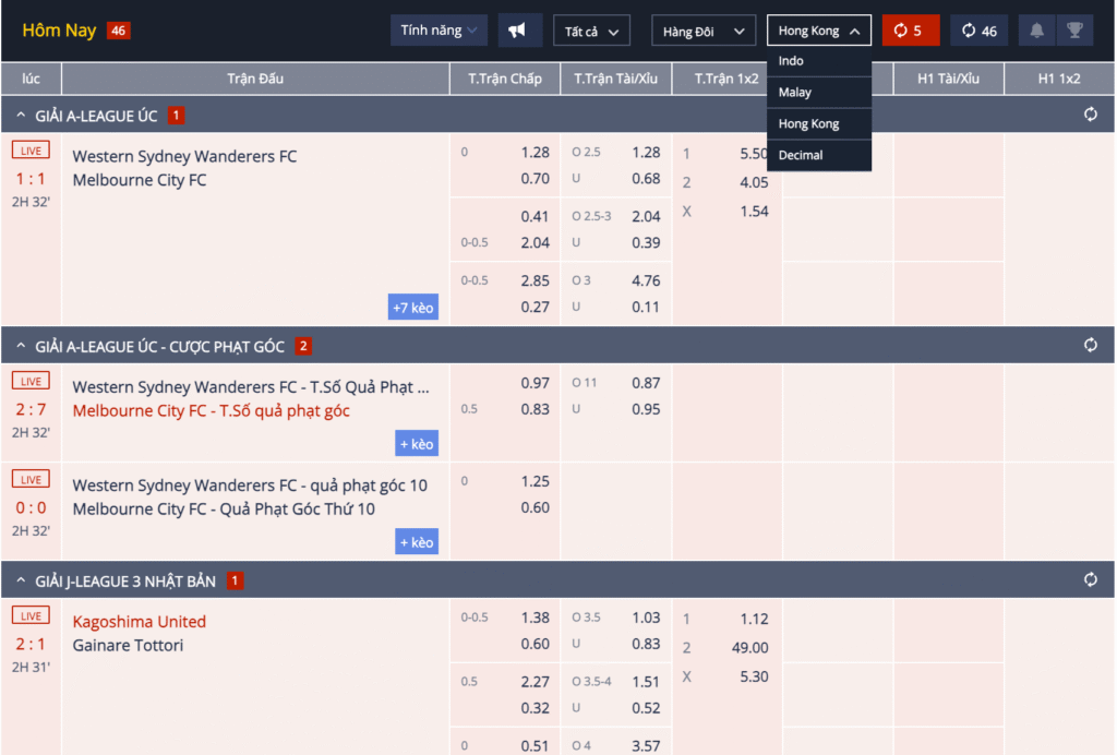 Các Dạng Tỷ Lệ Hiển Thị Phổ Biến Trong Cá Cược Bóng Đá